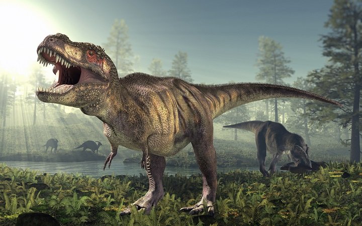 İnsanlar niyə tez qocalır və ölürlər? – Səbəb dinozavrlarla bağlı imiş
