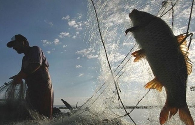 Azərbaycanda balıq ovu qadağan edildi