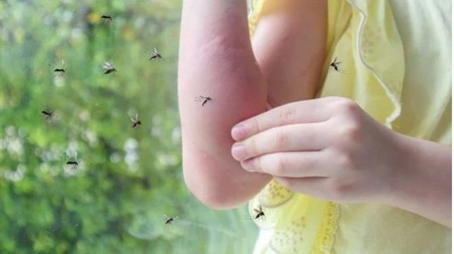 Bu qan qrupları ağcaqanadı CƏLB EDİR