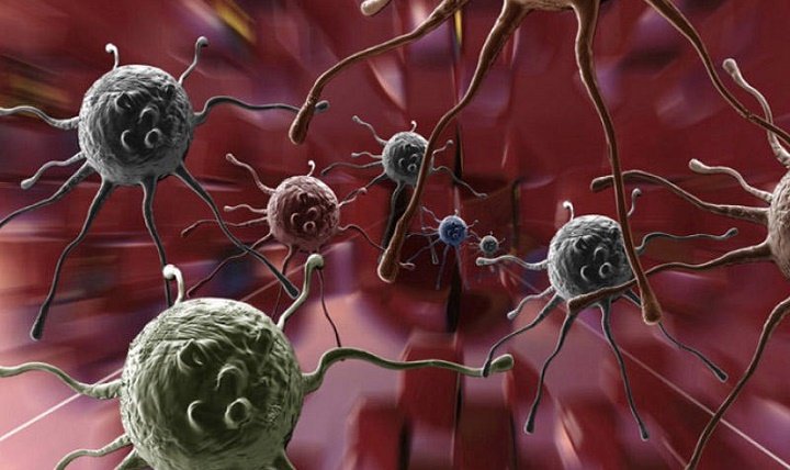 Tibdə yeni dövr başlayır: Alzheimer və xərçəng müalicəsində yeni ümid
