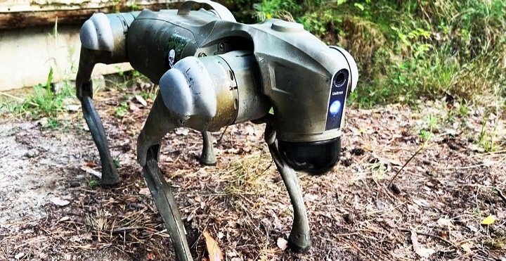 Elmi dünyada bir ilk: İnsan beyin hüceyrələri ilə işləyən robot it hazırlandı