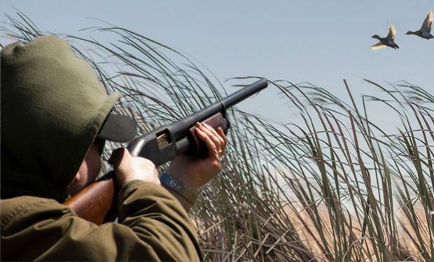 Bu gündən Azərbaycanda ov qadağan olunur