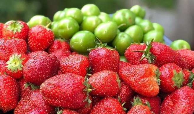 Bu il meyvə və tərəvəzlərdə qıtlıq ola bilər: Qiymət artımı gözlənilirmi? – ŞƏRH