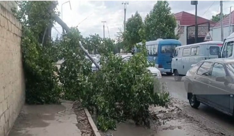 Gəncədə güclü külək və leysan fəsadlar törədib
