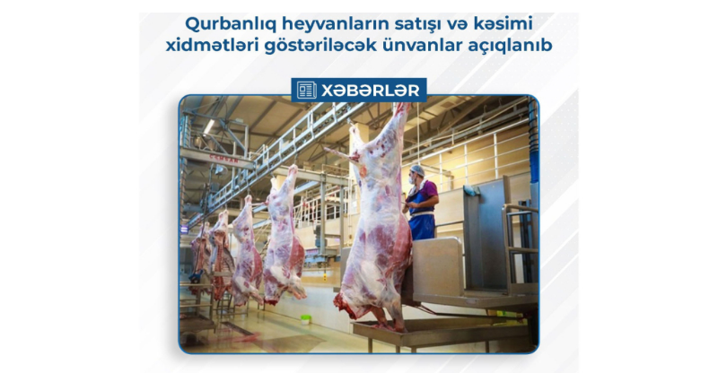 Qurbanlıq heyvanlar burada satılacaq: ÜNVANLAR