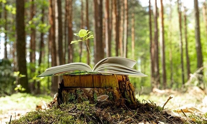 “Uşaqlarda torpağı, suyu, havanı, canlı aləmi, yaşıllığı qorumaq kimi mühüm vərdişlər formalaşdırılmalıdır”- Sadiq Həsənov