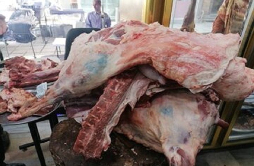 Hansı balıq, quş və heyvanların əti halal, hansı haramdır? - Hacı Fuad AÇIQLADI