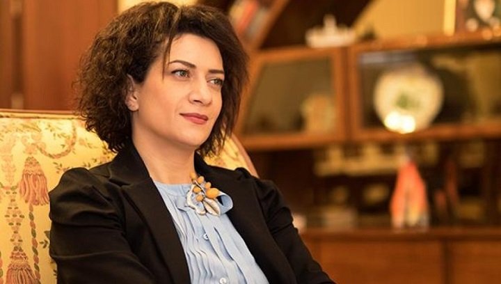 Anna Akopyan Ərdoğanın kitabından yazdı - FOTO