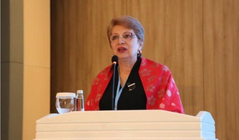 "Azərbaycan su çatışmazlığına görə orta və yüksək risk qrupuna daxildir" - İradə Həsənova ilə müsahibə