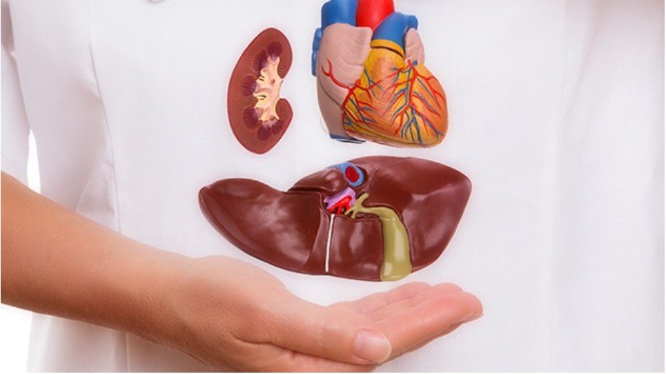 Ölümündən sonra orqanlarını bağışlamaq istəyənlər artır