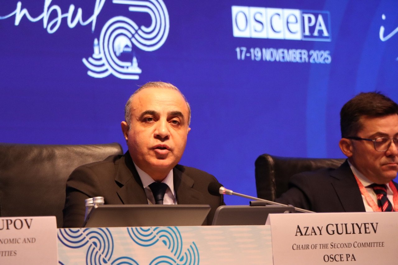 Azay Quliyev ATƏT PA-nın toplantısında Ukraynada Azərbaycan Səfrliyinin vurulmasını pislədi