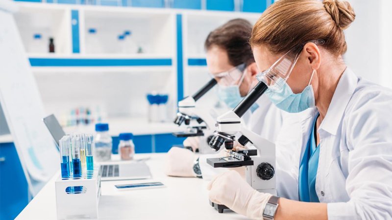 Dünyada ilk hansı heyvan peyda olub?