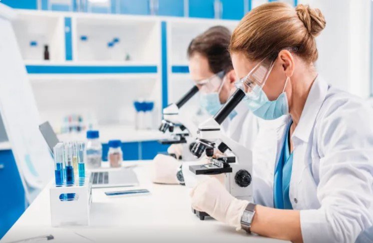 Dünyada ilk hansı heyvan yaranıb? İllərlə davam edən mübahisəyə aydınlıq gətirildi