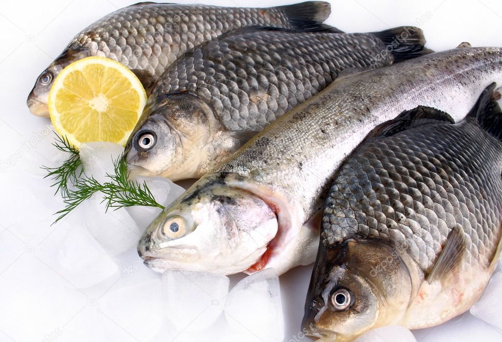 Bu rayonda balıq festivalı keçiriləcək