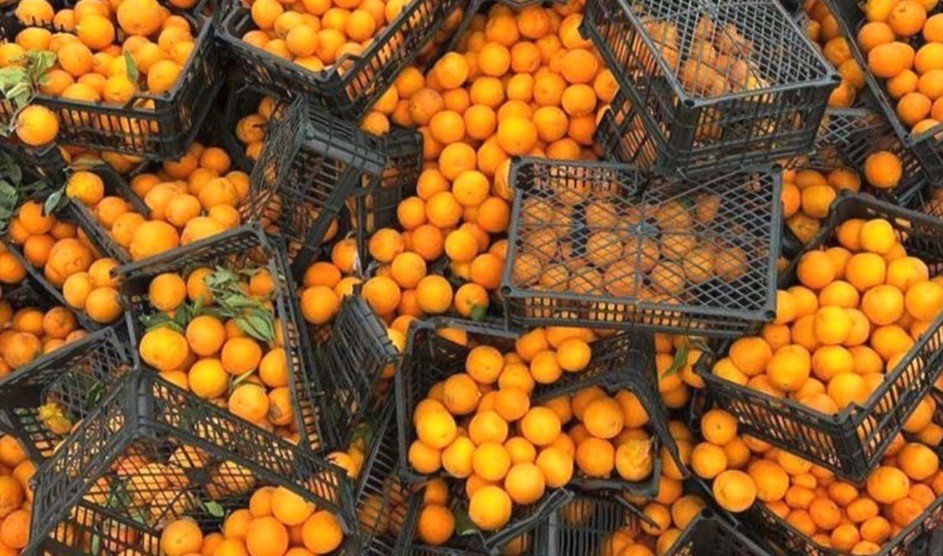 İrandan gələn portağallar rənglənir? – Rəsmi