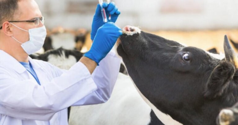 Azərbaycanda dabaq xəstəliyinin yeni növü yayılır?