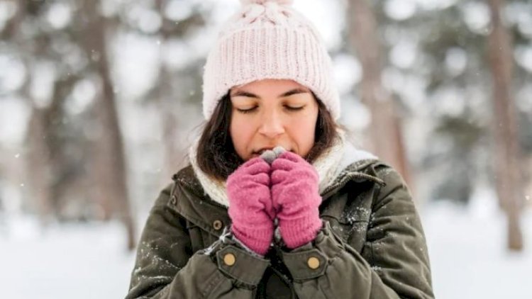 Soyuq havaların qənimi: Hamı bazarda onu axtarır, sadəcə 13 manata...