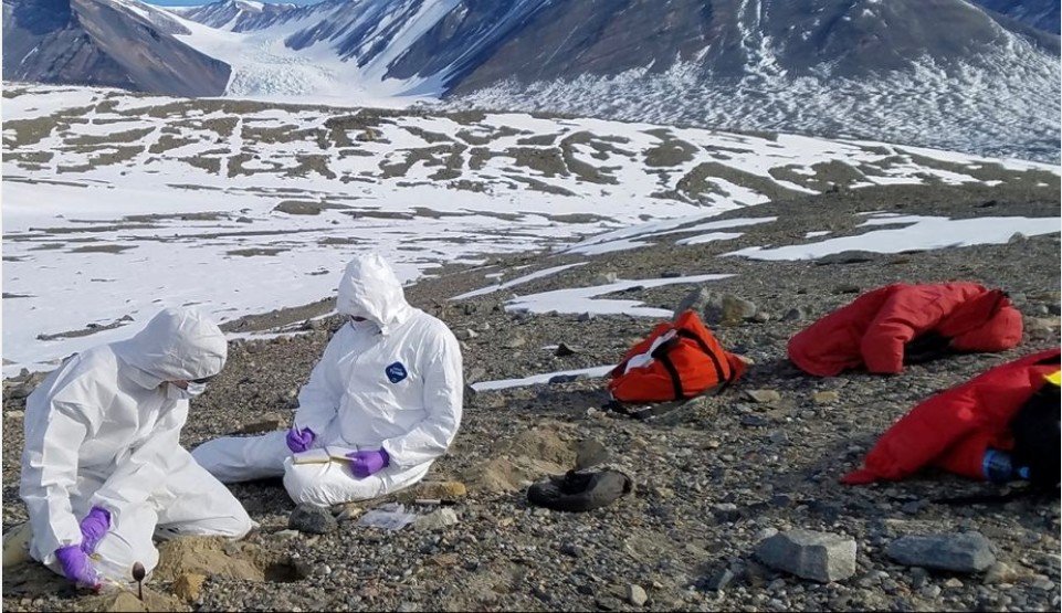 Yeni pandemiya: Vəhşi heyvanlar insan məskənlərinə yaxınlaşacaq