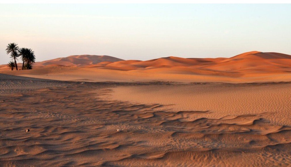 Səhralar yaşıllaşacaq: Çinli alimlərdən inqilabi metod