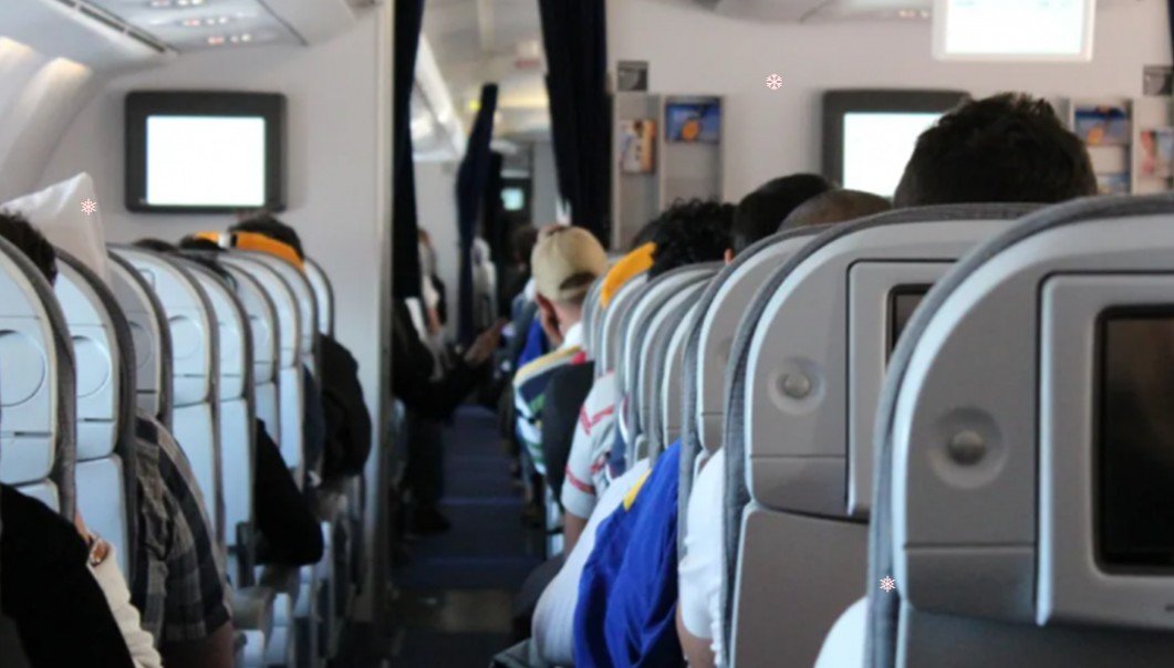 Ankara-Bakı reysində dava - Təyyarədən düşən kimi saxlanıldı