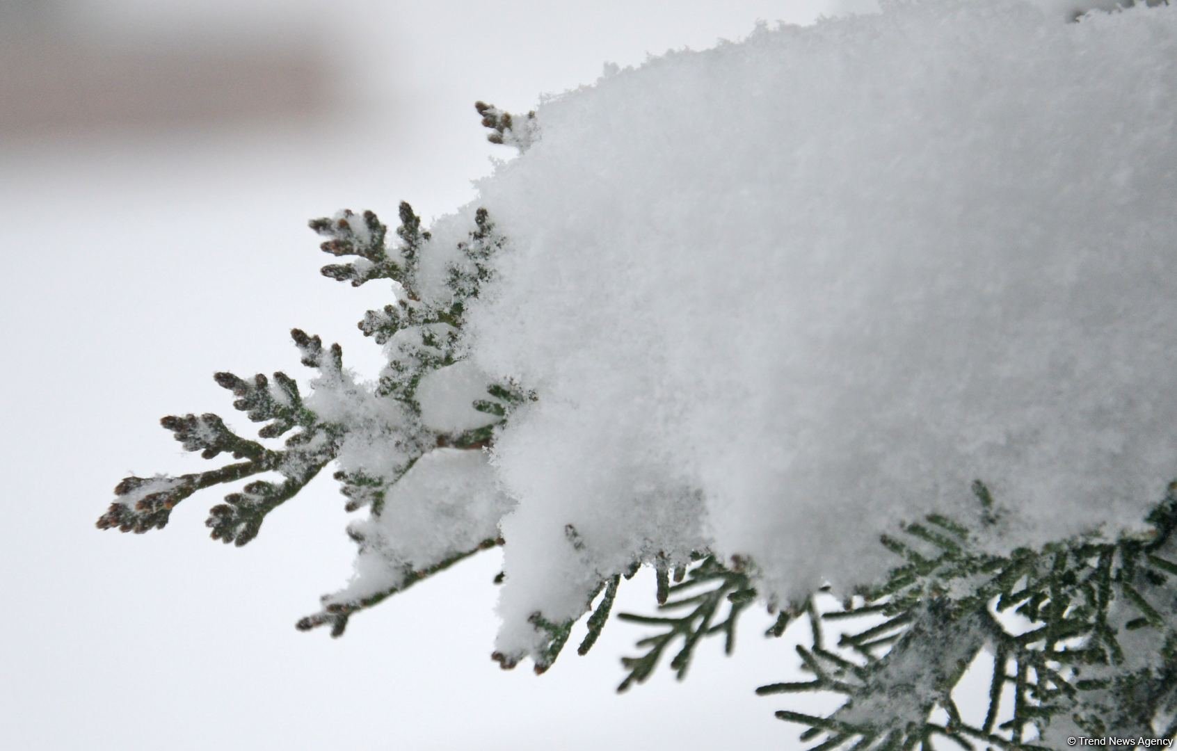 Azərbaycanın bu bölgəsində qarın hündürlüyü yarım metrə çatır