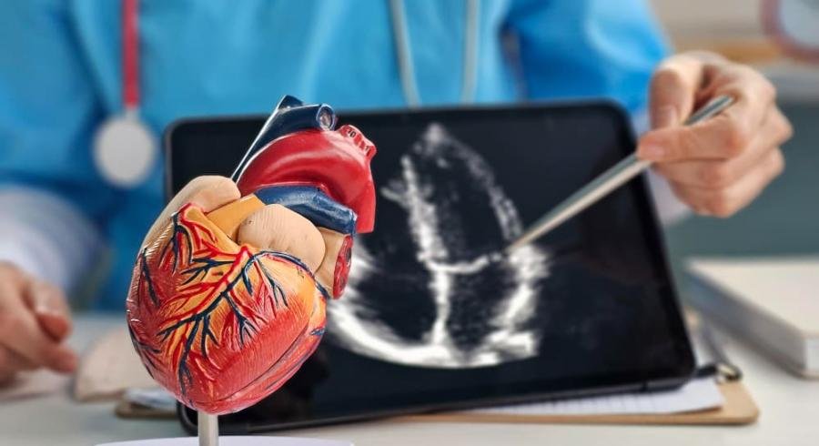 Süni intellekt ürək xəstəliklərini MÜALİCƏ EDƏCƏK