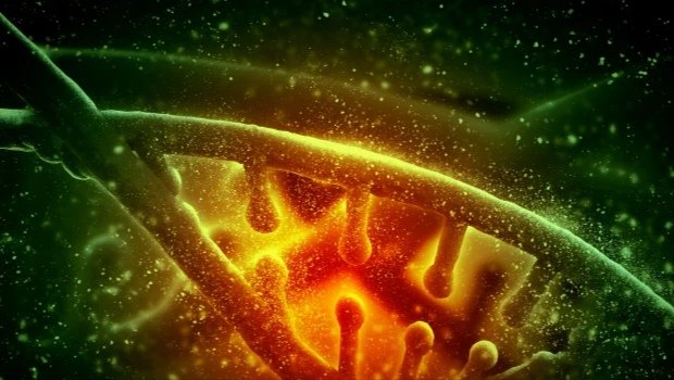 Yerdə həyat necə yaranıb?