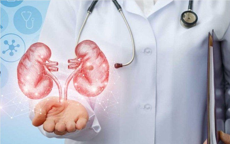 Azərbaycanda böyrəklər robotik üsullarla köçürüləcək