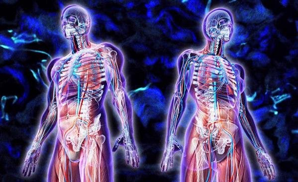 İnsanın gücü neçə yaşından azalmağa başlayır?