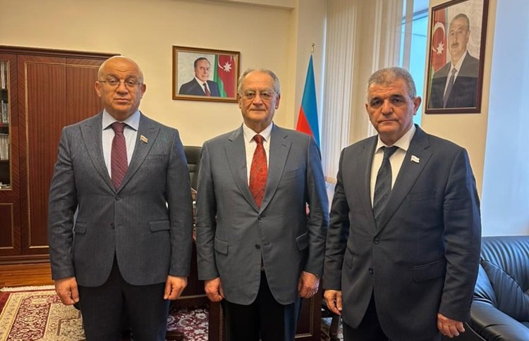 Komitə sədri Şura sədri ilə görüşüb