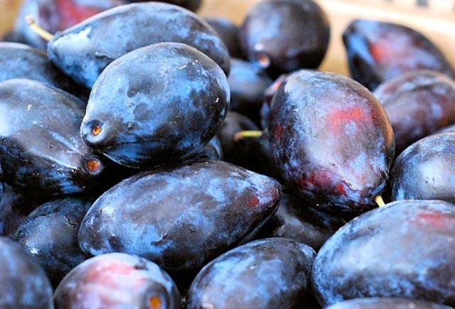 Xərçəngin dərmanı bu meyvə imiş - Alimlərdən şok kəşf