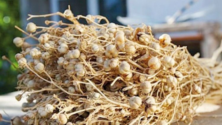 Nazirlikdən üzərliklə bağlı əhaliyə xəbərdarlıq: narkotik…