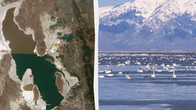 Alimlər həyatı mümkün olmayan yerdə tapdı: Bu canlıları əvvəllər Yerdə görməyiblər