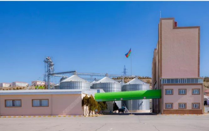 “Gəmiqaya” necə “Naxçıvan Taxıl Məhsulları” MMC oldu? – Faktlar