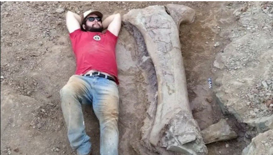 Yeni dinozavr növü kəşf edildi