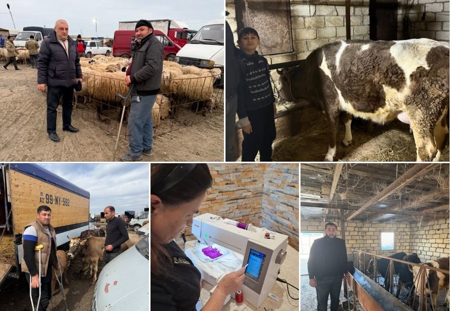 "Mina qurbanları üçün iqtisadi imkanların yaradılması – Faza 3" adlı layihənin icrasını uğurla davam etdirilir