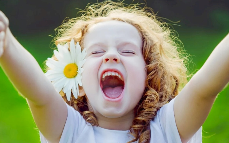 Nə pul, nə uğur: Xoşbəxtlik bunda imiş — 88 illik araşdırma