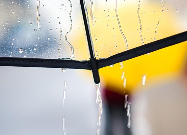 Vətən qadının başına gətirilmiş ən böyük bəladır