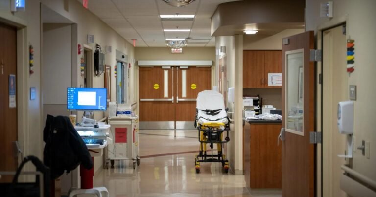 "Yaxın 10-15 ildə alimlər insan ömrünü azı 10 il uzada biləcəklər"