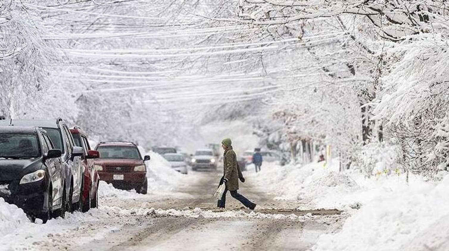 Laçına dizə qədər qar yağdı - VİDEO