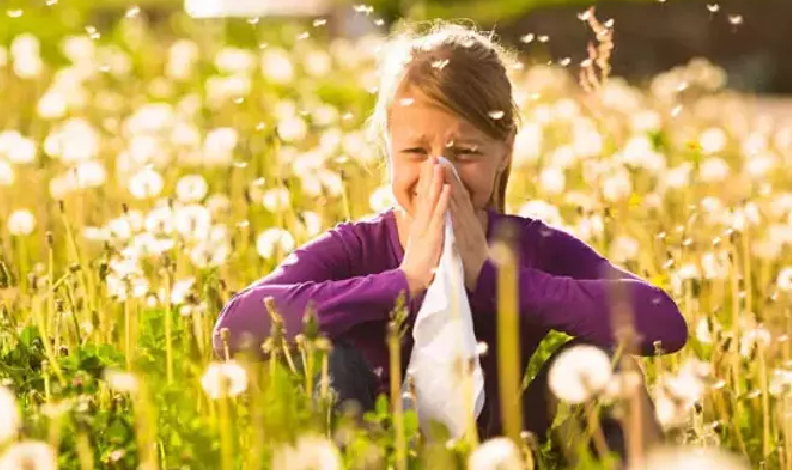 Yazın gözəlliyi ilə gələn gizli təhlükə: Allergiya ilə MÜBARİZƏ YOLLARI
