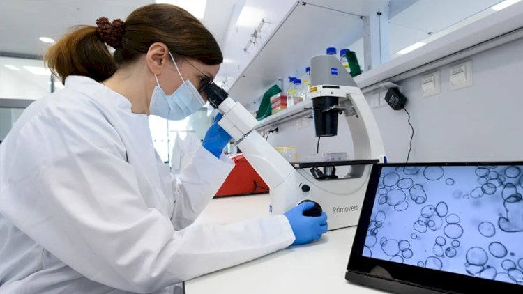 Xərçəng riskini azaldan orqan - Alimlərdən yeni kəşf