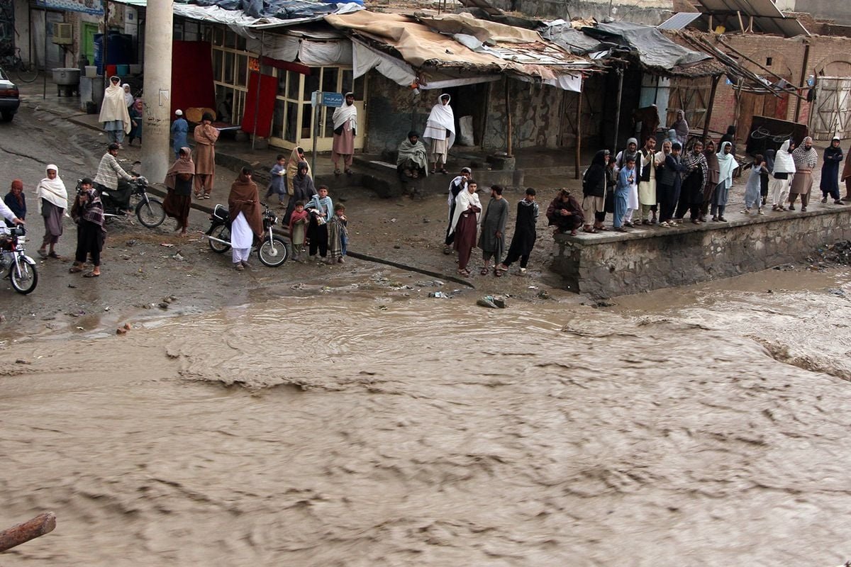 Ölkə fəlakət yaşayır! İtkilərin sayı dəhşətlidir