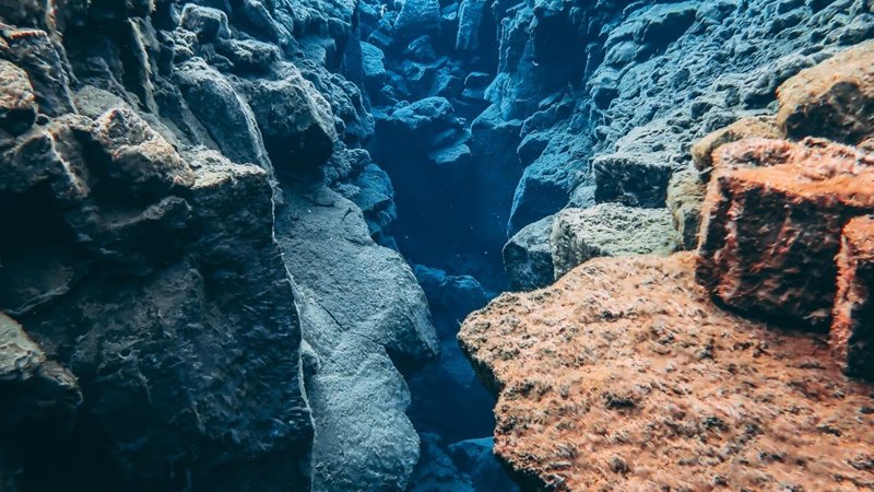 Okean dibində Yer kürəsinin gizli "qızıl mətbəxi" - Sirri açıldı