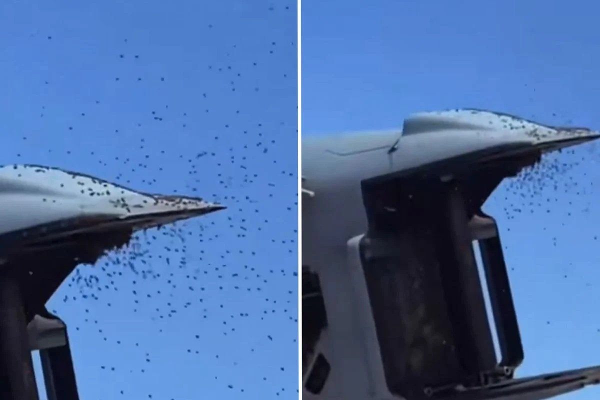 Tarixin ən böyük işğalı! Hətta hərbi uçuşlar belə dayandırıldı