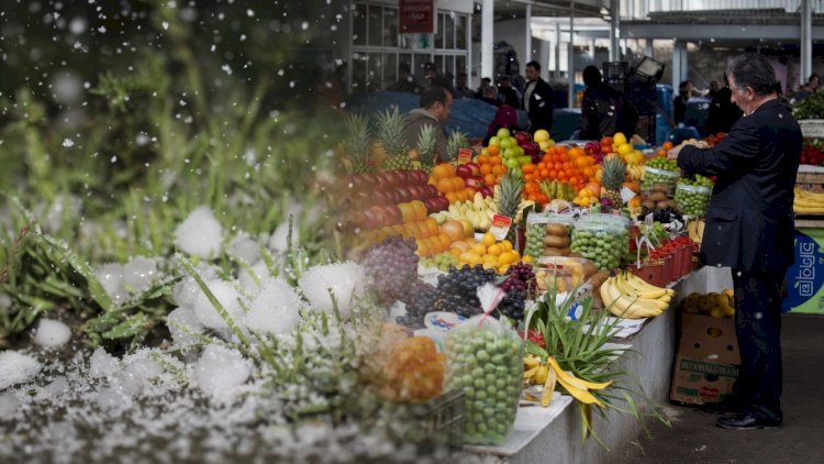 Qar, yağış, dolu… - Məhsullar bahalaşa bilər?