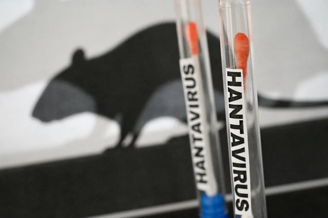 ÜST-dən hantavirus AÇIQLAMASI: Pandemiya geri qayıdır?