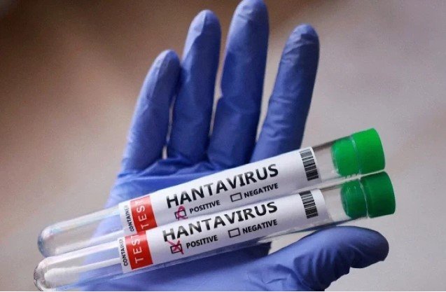 Azərbaycanda hantavirusun yayılma riski yüksəkdir? - ÜST açıqladı