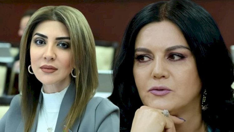 “Uşaqpulu verilsə, ailələr 3-dən çox uşaq dünyaya gətirər”