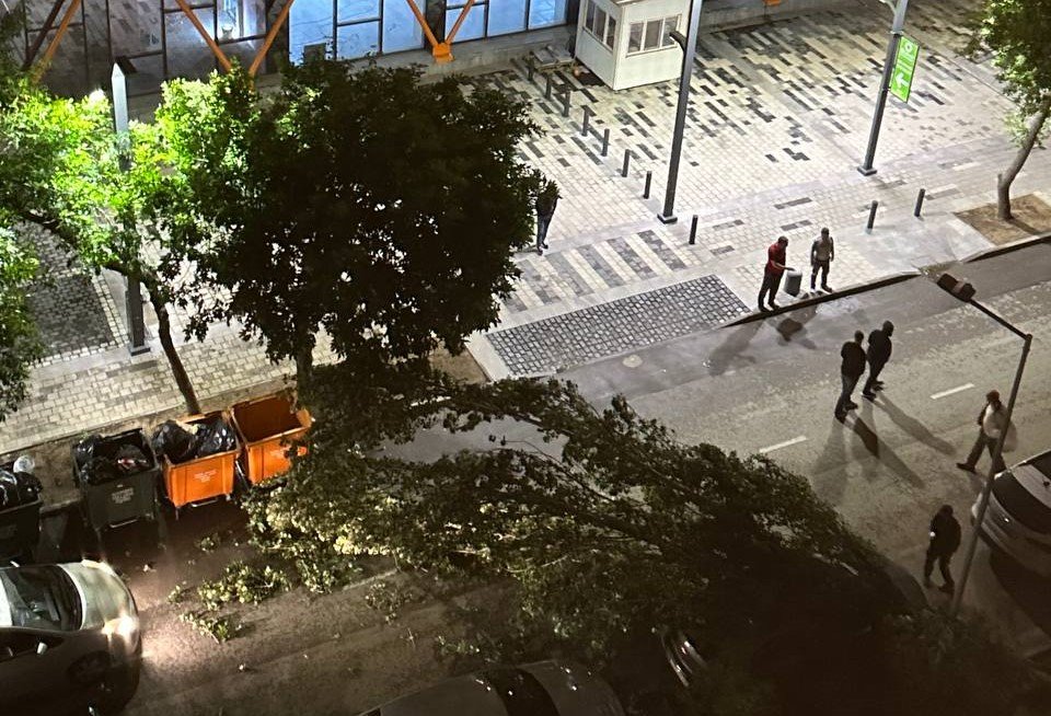 Bakıda güclü külək ağacı avtomobilin üzərinə AŞIRDI – FOTO/VİDEO